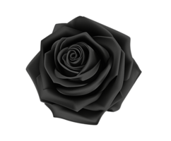 zwart roos, single rood roos,, bloem regelen van, fabriek stam png
