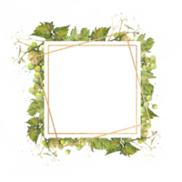Square gold frame with bunches of green grapes drawn in watercolor, with space for text. png