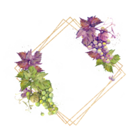 oro diamante telaio con un' mazzo di viola e verde uva disegnato nel acquerello. png