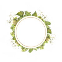 Round golden frame with a bunch of green grapes drawn in watercolor with space for text. png