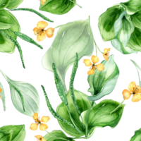 Plantago broadleaf, celandine watercolor seamless pattern. Plantain, green leaves, herb chelidonium, psyllium hand drawn. Design for textile, package, wallpaper, wrapping. png