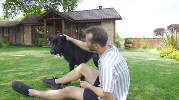 giovane uomo amorevole il suo cane su il erba. video