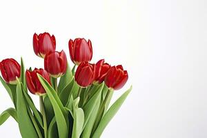 Red tulips isolated on white background. AI Generated photo