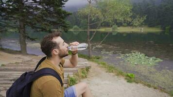 a lago dentro a floresta. video