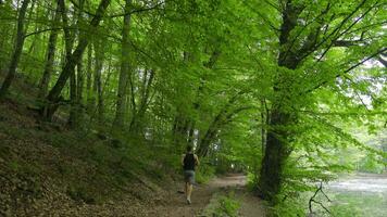 Running among the trees and greenery. video