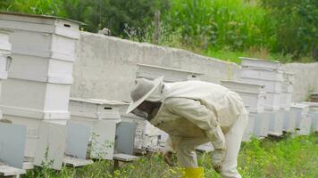 apicultor trabalhando em colmeias. video