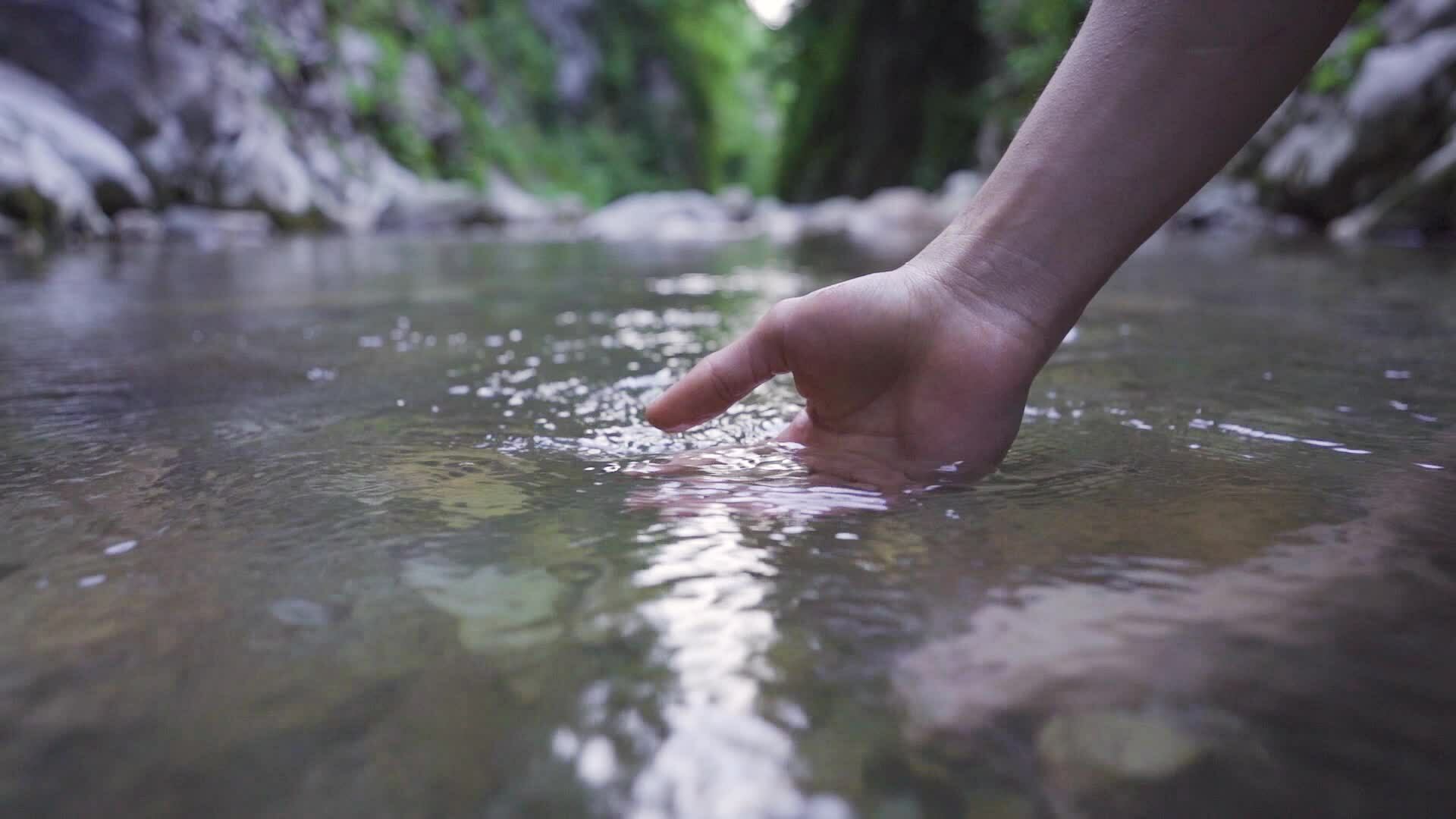 Putting your hand in clean and clear stream water. 33546984 Stock Video