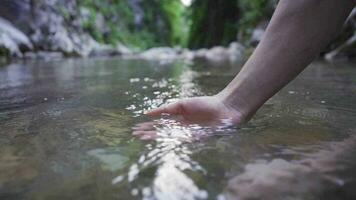 il momento quando un' grazioso mano emerge a partire dal il acqua. video