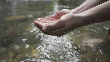 el mano agarrando el agua desde el arroyo. lento movimiento. video