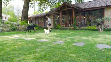 Hund und Eigentümer, Haustier Liebe. video