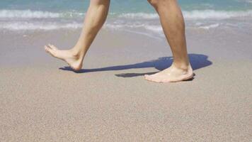 piedi a piedi su il spiaggia. video