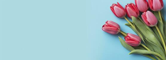 Bouquet of red tulip on blue Background. Top view with copy space.  AI Generated photo