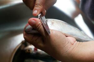 A chef cuts fish with his trusty knife to create a delicious meal. photo