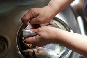 The cook removes the intestines from the fish after cutting it so that it can be cooked cleanly and safely. photo