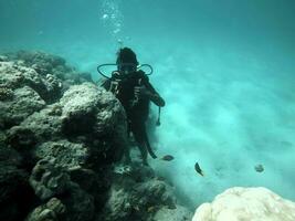 View of the fishes and coral reef in the sea near the island photo