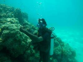 Exploring the coral reef and its features photo