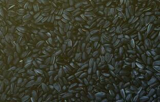 A pattern of many unprocessed fried sunflower seeds in a black shell. photo