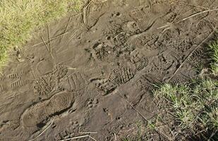 Foot mark on the jungle trail. Shoe prints on wet gravel or mud in mountain area photo