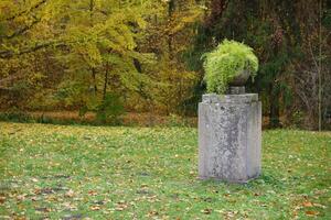 Beautiful Nature Autumn landscape. Scenery view on autumn city park with golden yellow foliage in cloudy day photo