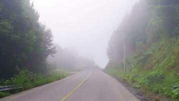 Foggy city road. video
