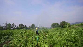 campo irrigação sistema. video