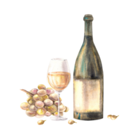 A bottle and glass of white wine with bunch of grapes and grape berries. Watercolour hand draw food illustration. Wine making set for design of flyers, drink menu, wine list, label png