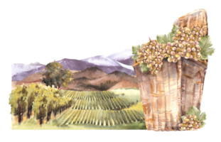 aguarela rural panorama. cesta com maduro uvas, Campos, vinhas, árvores, colinas e montanhas rural paisagem, vinificação Fazenda rótulo. mão desenhar aguarela ilustração png