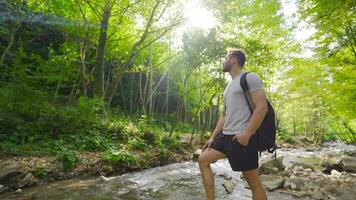 a livre homem relógios a floresta. uma corrente fluxos Próximo para isto. video