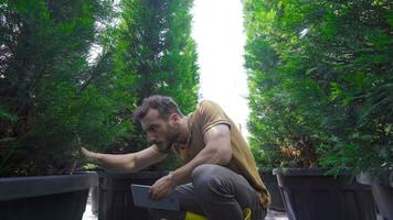 Horticulture. A gardener controls the soil by hand. video