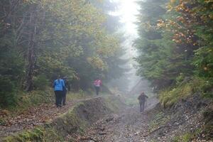 CARPATHIAN MOUNTAINS, UKRAINE - OCTOBER 8, 2022 Mount Hoverla. Carpathians in Ukraine in autumn photo