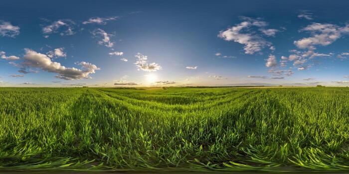 spherical 360 hdri panorama among green grass farming field with storm clouds on blue sky in equirectangular seamless projection, use as sky dome replacement, game development as skybox or VR content photo