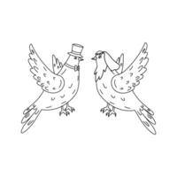 Hand drawn pair of flying doves isolated on white background. Black and white image. Two pigeons vector sketch