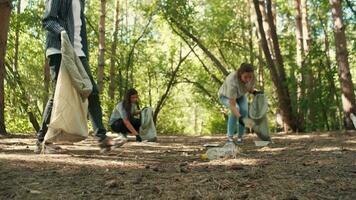 A group of volunteers clean the forest from debris.Earth Day, Save Planet, Save the world, Love Nature. video