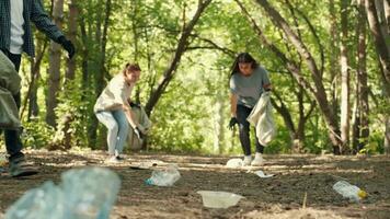 uma grupo do voluntários limpar \ limpo a floresta a partir de detritos.terra dia, Salve  planeta, Salve  a mundo, amor natureza. video