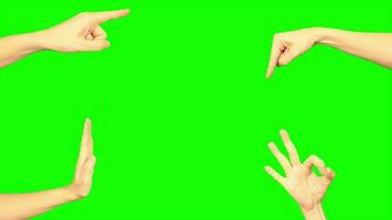 Hand isolated set on green background, green screen of hands video