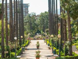 the city of Palermo on sicilia photo