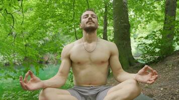 Relaxing, resting in the forest. video