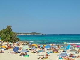 el isla de mallorca foto