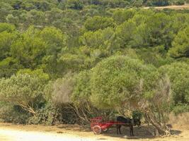 the island of Mallorca photo