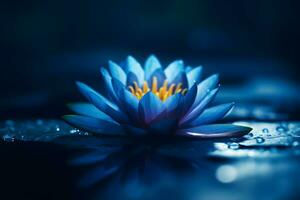 lotus flower in the water at night. Neural network AI generated photo