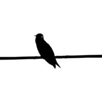 Perched Hummingbird Silhouette, can use Art Illustration, Website, Logo Gram, Pictogram or Graphic Design Element. Vector Illustration