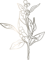 Branches with leaves and berries drawing gradient decoration design. png