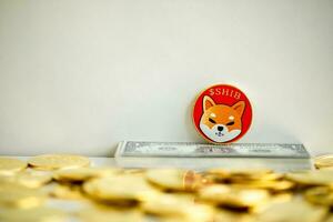 1 Shiba inu coin SHIB placed vertically against a white wall, placed on bitcoin banknotes with many crypto coins, close up, crypto concept. photo