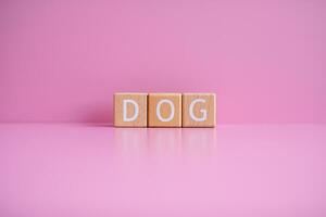 Wooden blocks form the text DOG against a pink background. photo