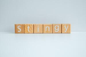 Wooden blocks form the text Stingy against a white background. photo