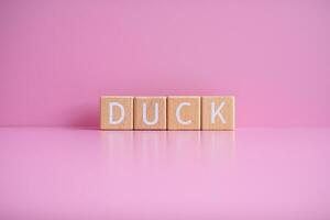 Wooden blocks form the text DUCK against a pink background. photo