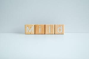 Wooden blocks form the text Mild against a white background. photo