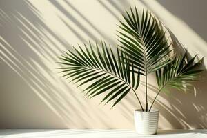 Palm tree fern green vase In black pot AI Generative photo