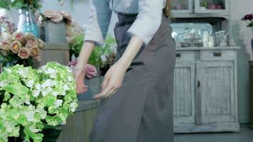 Female florist squats down near the vase with flowers video