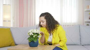 joven mujer oliendo maceta flor a hogar. video